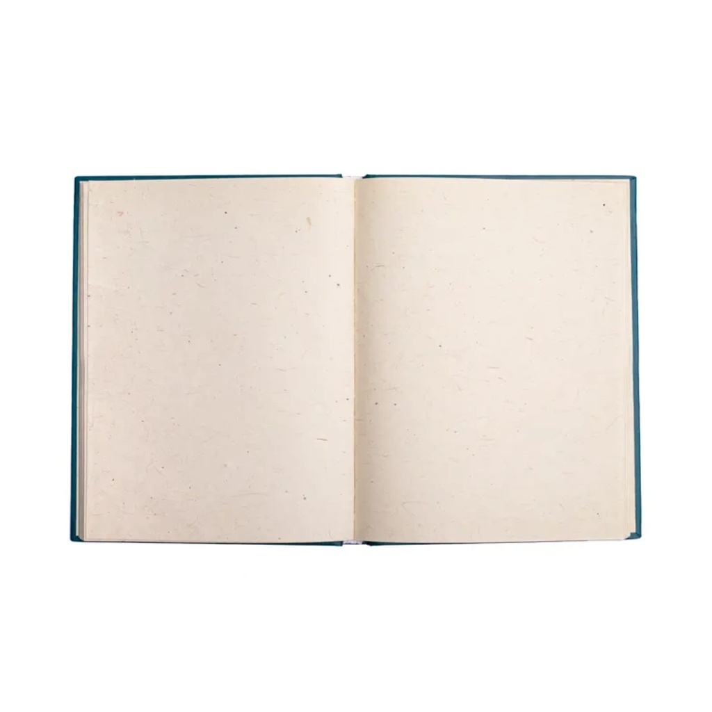 Carnet phases de lune & étoiles bleu 0