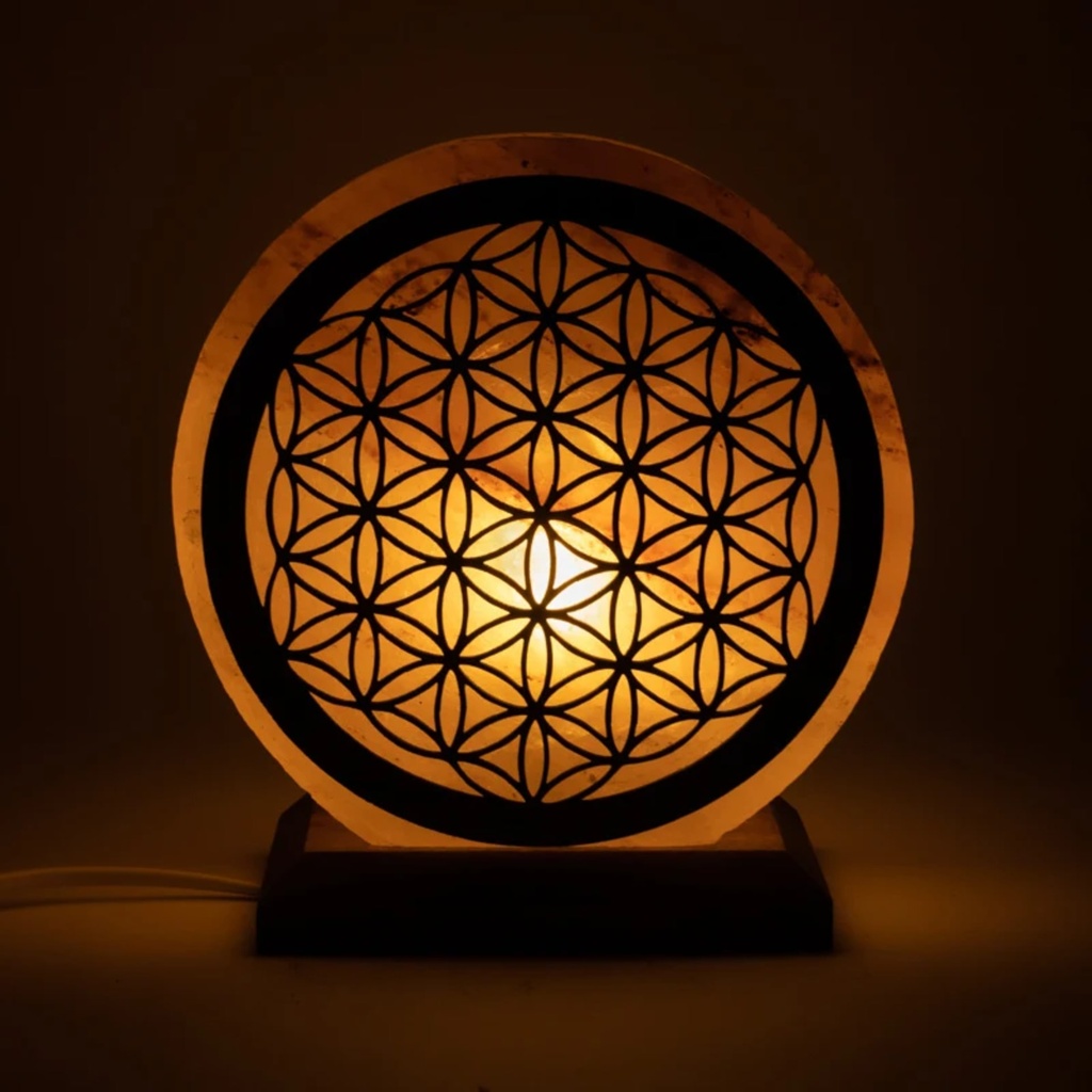 Lampe de sel Fleur de vie avec câble et LED 3
