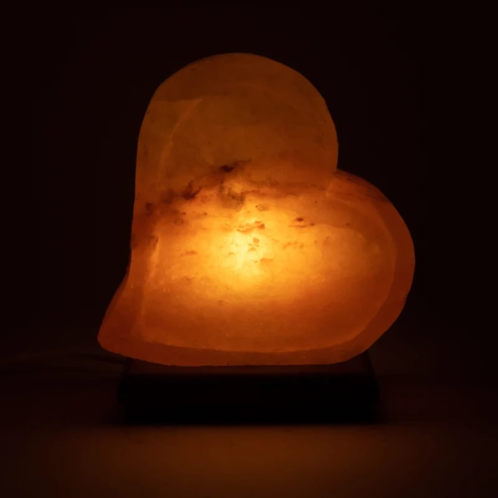 Lampe de sel Double Coeur avec câble et LED 2