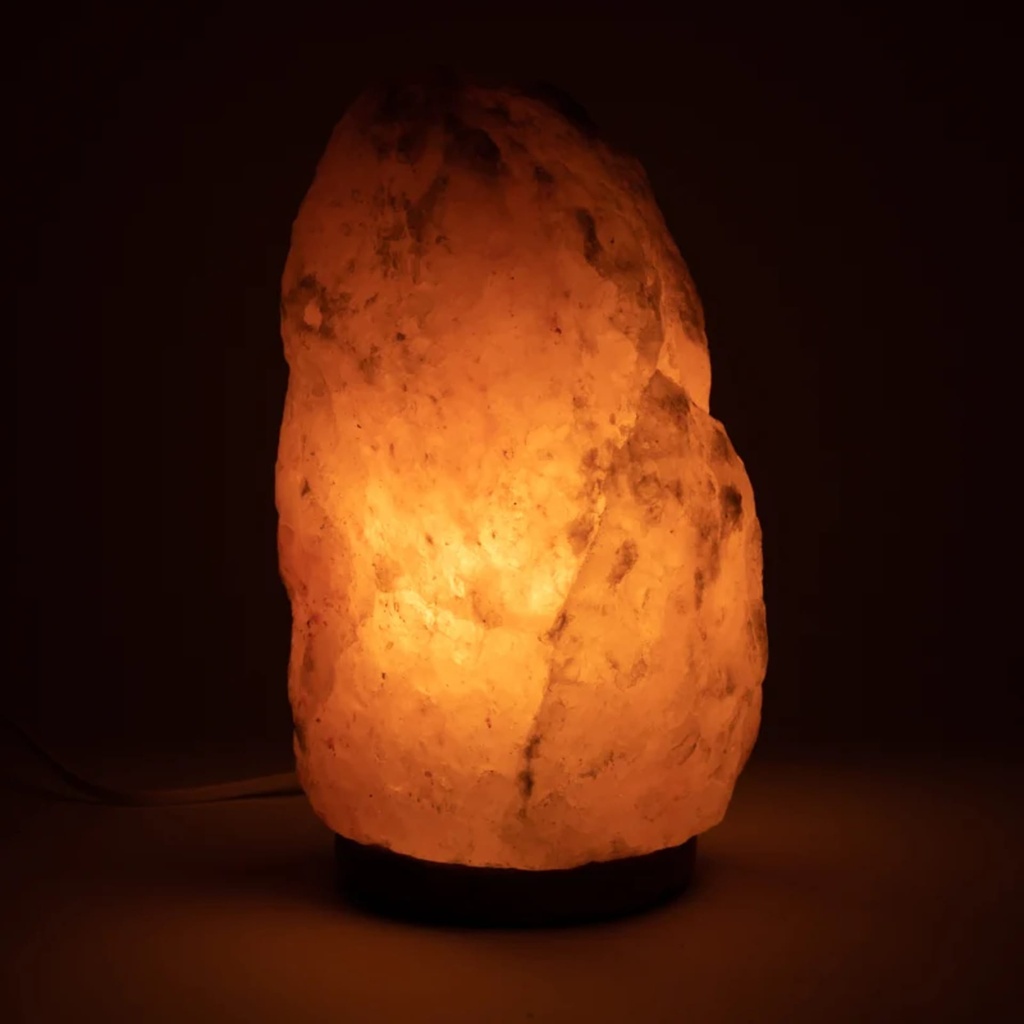 Lampe de sel avec câble à prise et LED 1