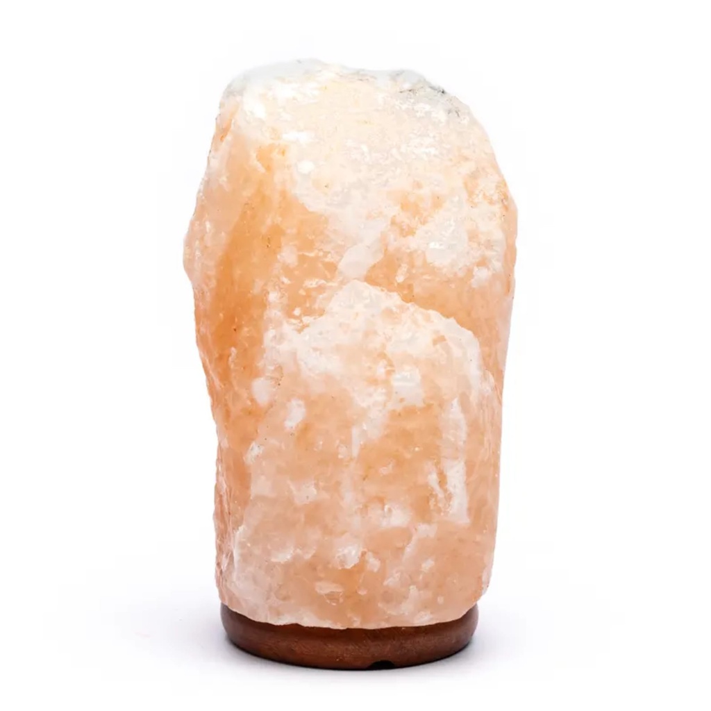 Lampe de sel avec câble à prise et LED 2