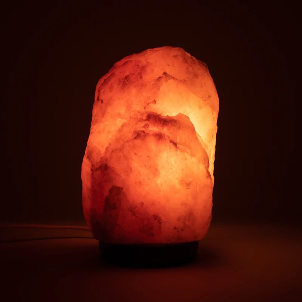 Lampe de sel avec câble à prise et LED 1
