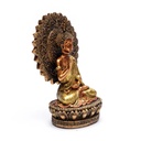 Bouddha de la Réassurance avec aura et trône 0