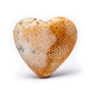 Pierre du souci coeur Fossile de corail 1