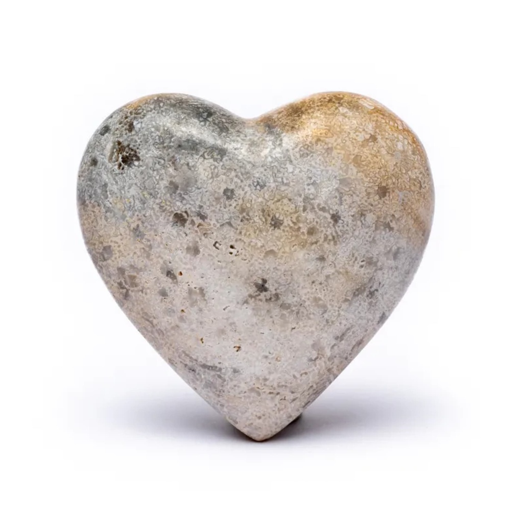 Pierre du souci coeur Fossile de corail 4