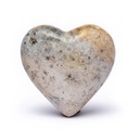 Pierre du souci coeur Fossile de corail 4