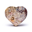 Pierre du souci coeur en Stromatolite 3