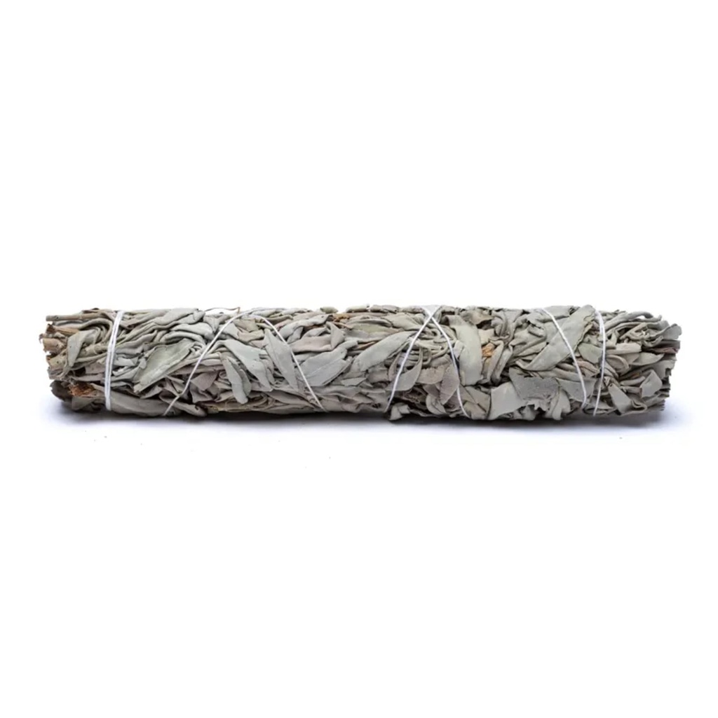 Sauge blanche smudge XL 12 pièces 0