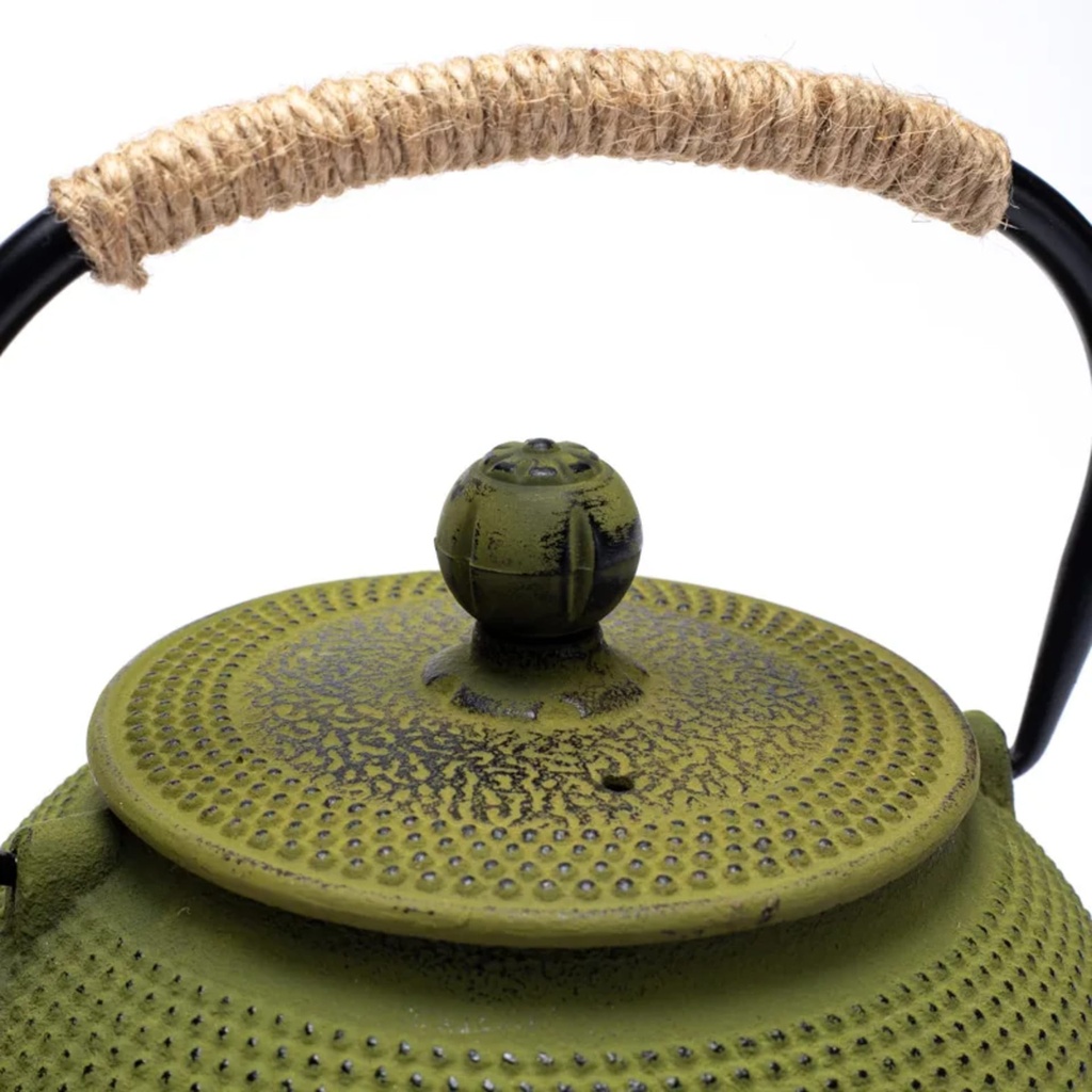 Théière émaillée Tetsukyusu 0,6 litre verte 1