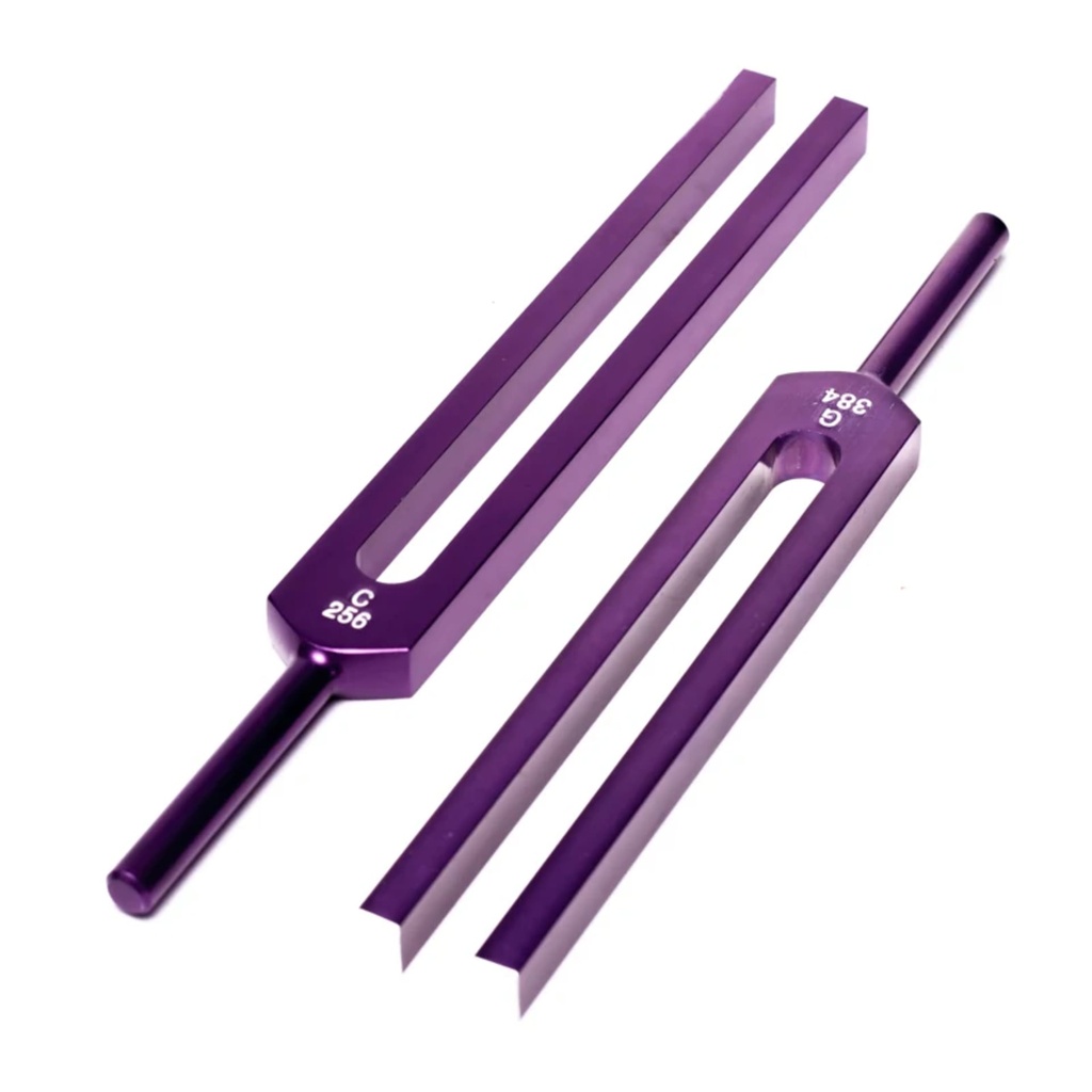 Diapasons Do & Sol corps entier violet 2
