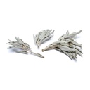 Encens de Sauge Blanche (salvia Apiana) - bouquet 0