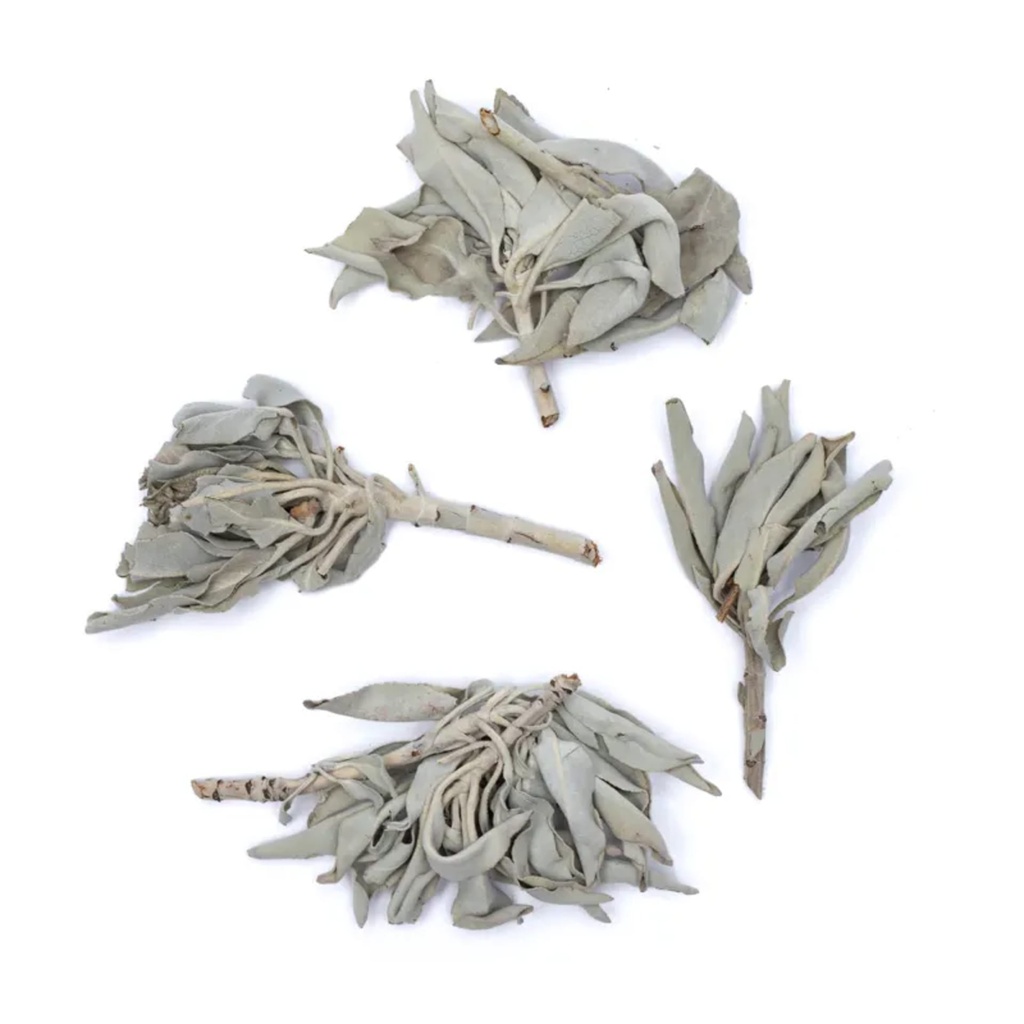 Bouquet d'encens de Sauge Blanche (salvia Apiana) 0