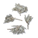 Bouquet d'encens de Sauge Blanche (salvia Apiana) 0