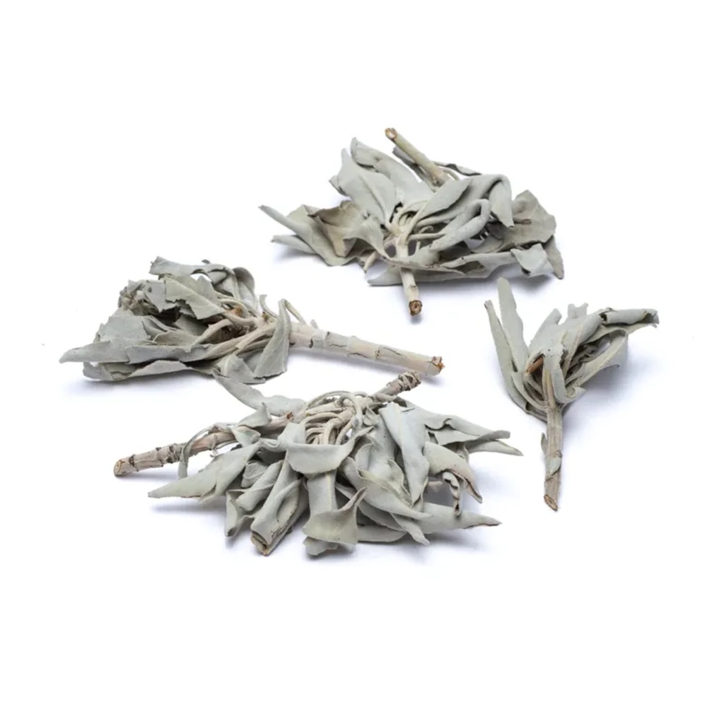 Bouquet d'encens de Sauge Blanche (salvia Apiana) 1