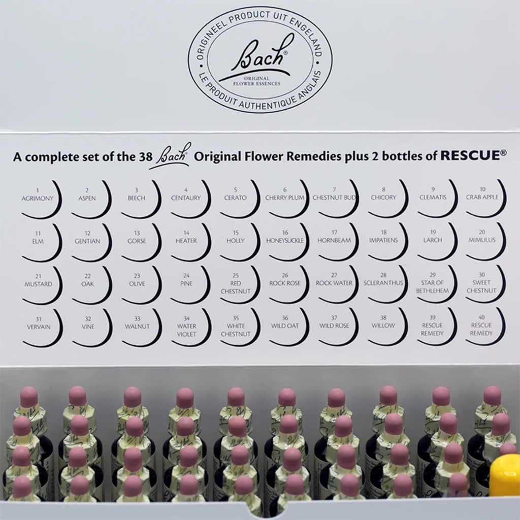 SET Fleurs Bach dans une boîte en carton 0