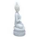 Bouddha statuette avec Amrita 0