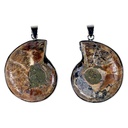 Pendentif Ammonite 0