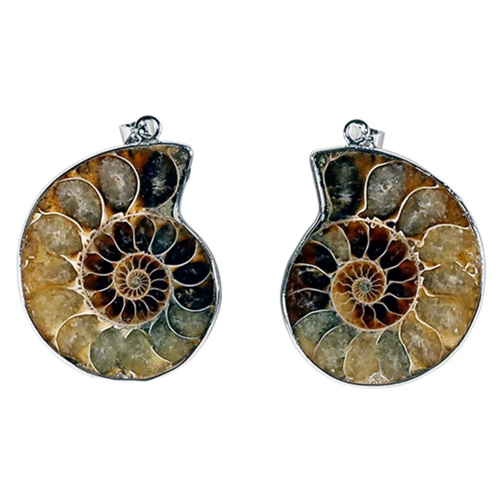 Pendentif Ammonite 1