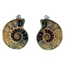 Pendentif Ammonite 1