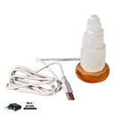 Mini Lampe Sélénite Mood USB  LED 2