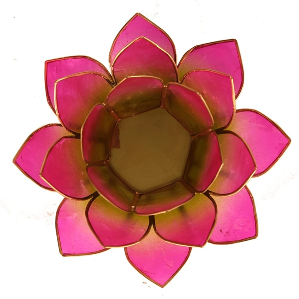 Bougeoir Lotus vert-rose bord or 1