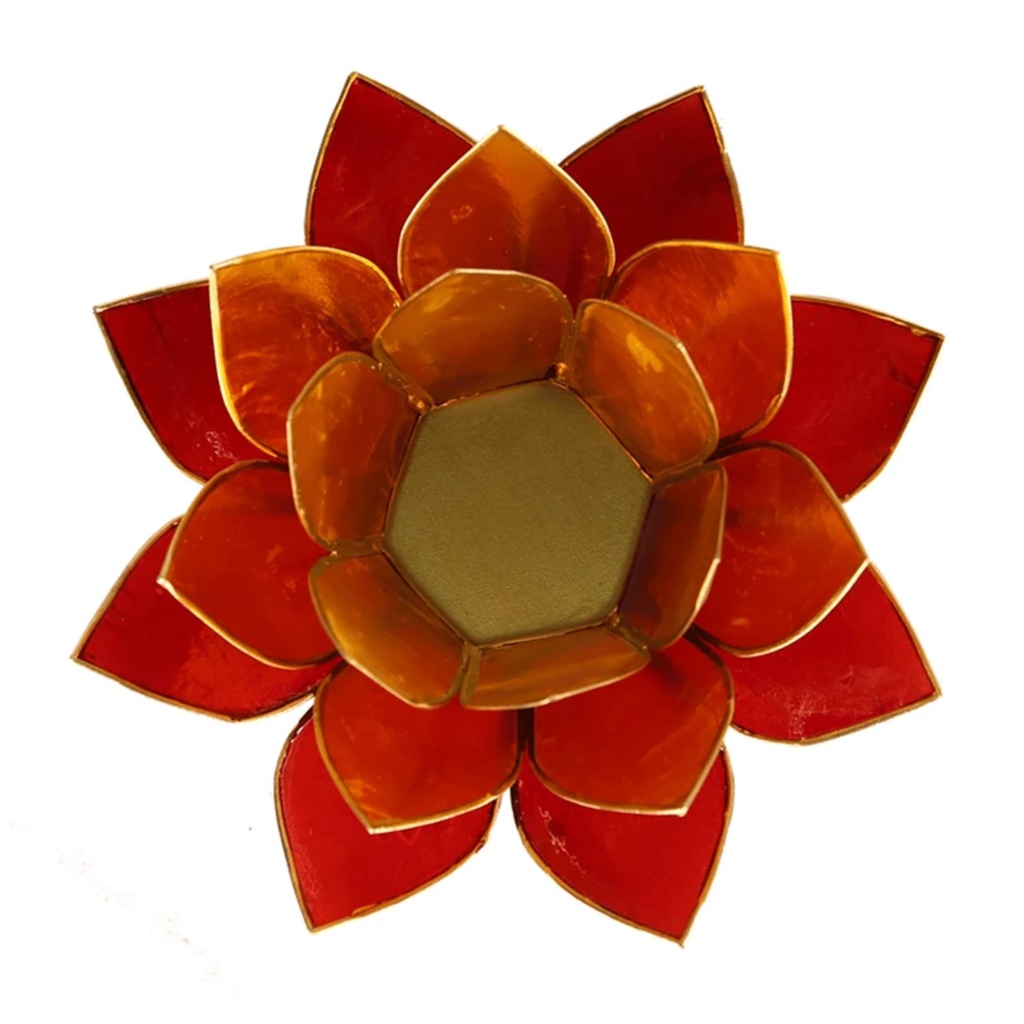 Eclairage Lotus 3 couleurs bordure dorée 1