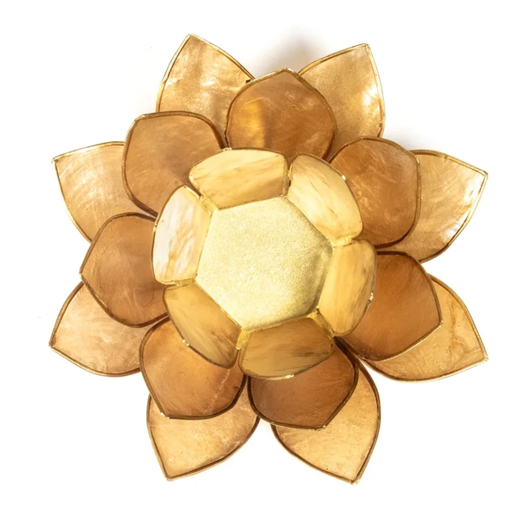 Eclairage Lotus beige/fumé bors or 1