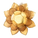 Eclairage Lotus beige/fumé bors or 1