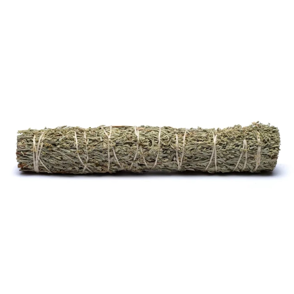 Sauge Shasta Smudge L 1