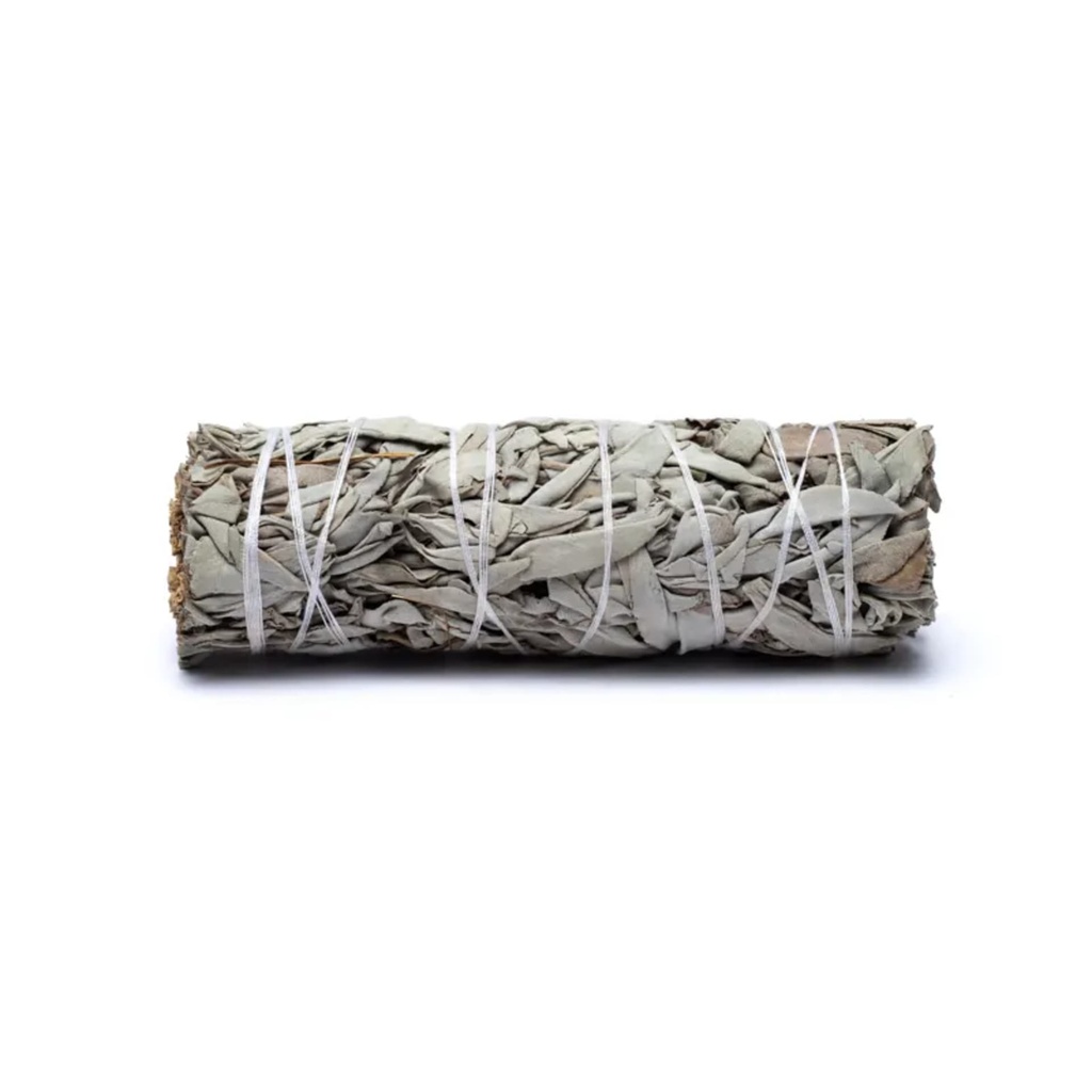 Sauge blanche Smudge S paquet de 3 1