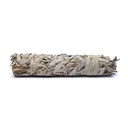 Sauge blanche Smudge L 1