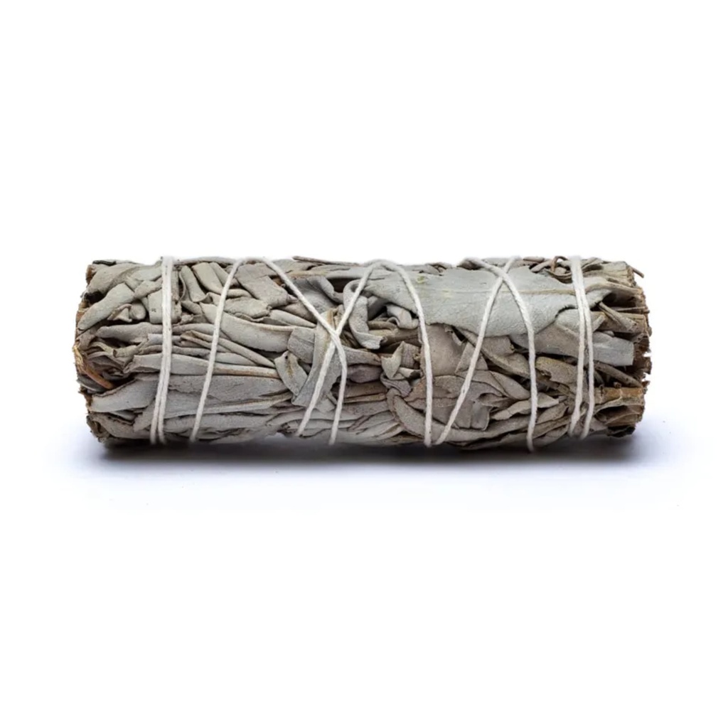 Sauge blanche Smudge S - 24x en vrac 1