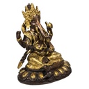 Ganesh laiton bicolore 0