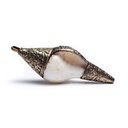 Pendentif rituel en coquillage avec metal blanc 0