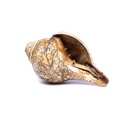 Conque tibétaine trompette rituelle gravé OMPH 0