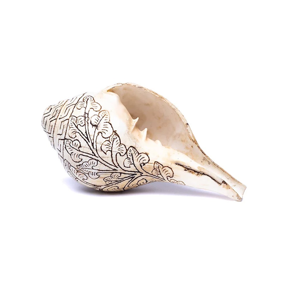 Conque tibétaine de Pudja gravé d'un double Dorje 0