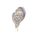 Conque tibétaine de Pudja gravé d'un double Dorje 1