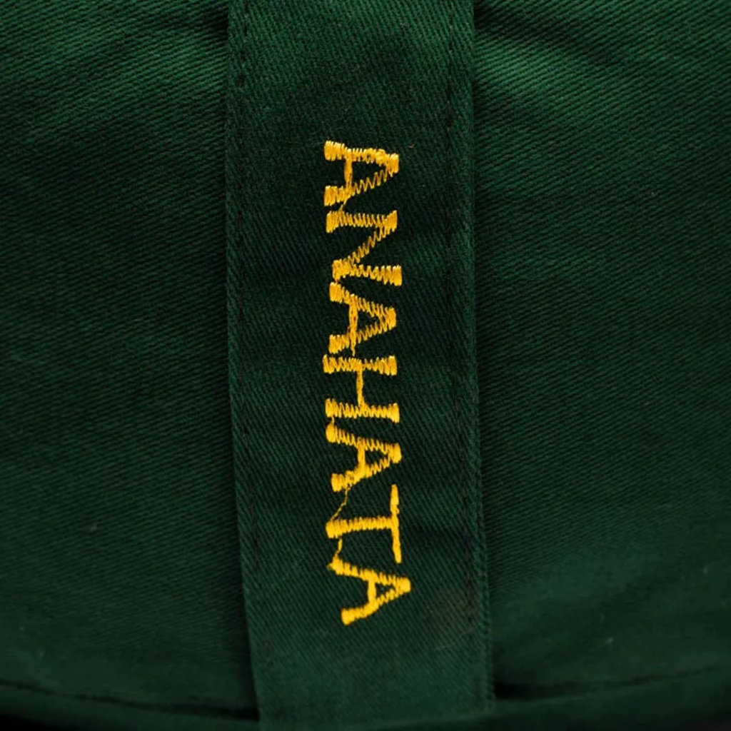 Coussin 4è Chakra Anahata brodé 2