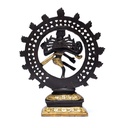 Shiva Nataraj laiton bicolore 1