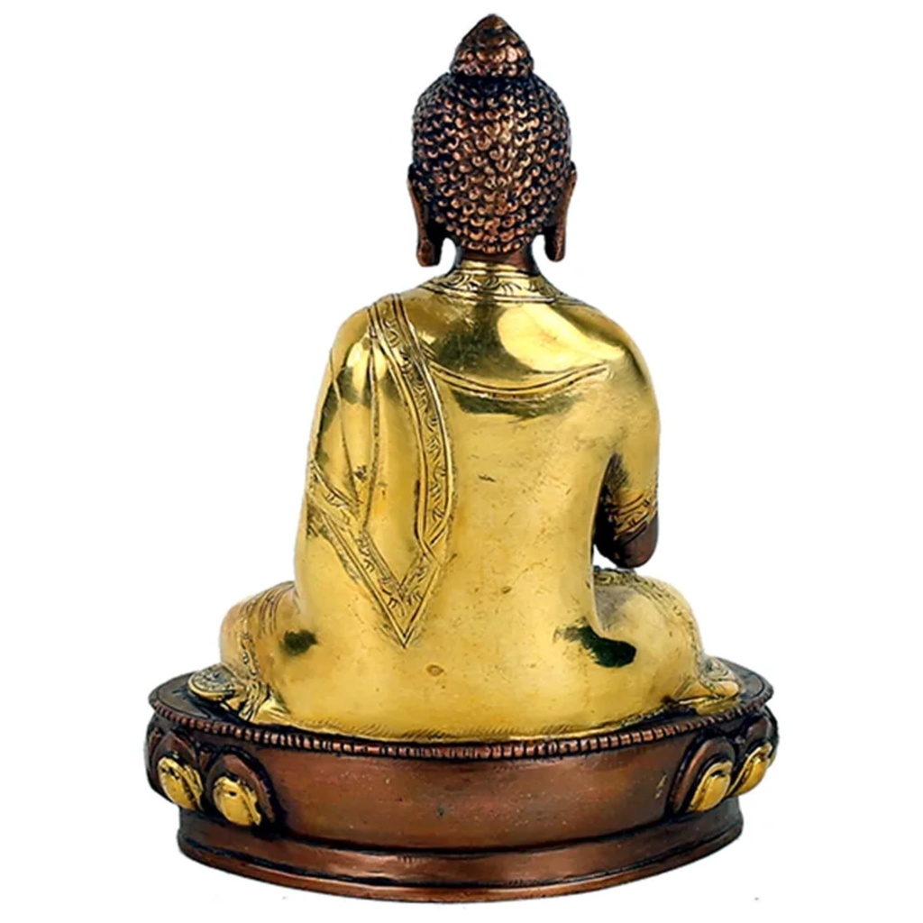 Bouddha mudra enseignement bicolore 1