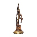 Shiva Nataraj laiton bicolore 0