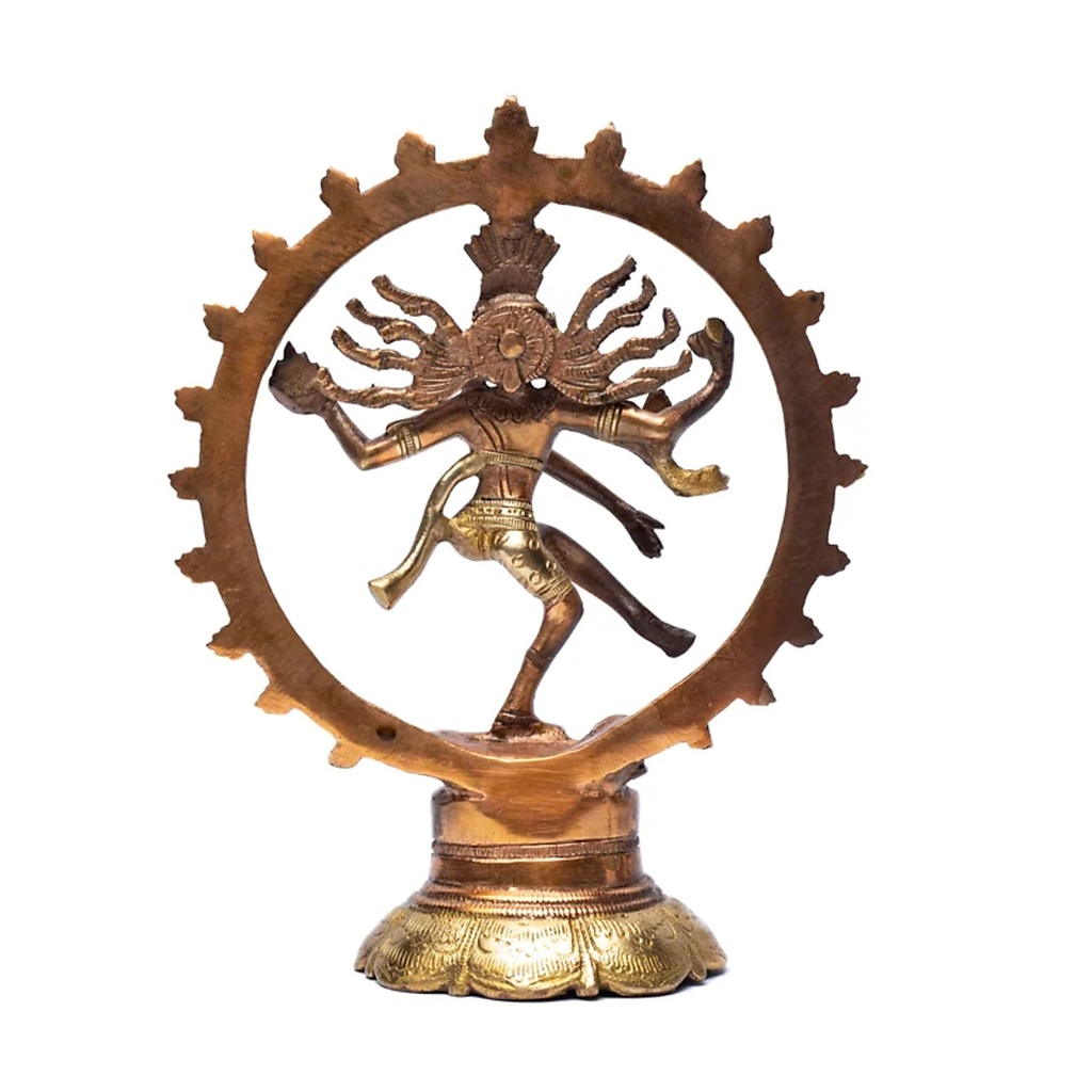 Shiva Nataraj laiton bicolore 1