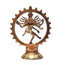 Shiva Nataraj laiton bicolore 1