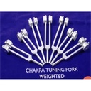 Diapasons pour Chakra - SET 2