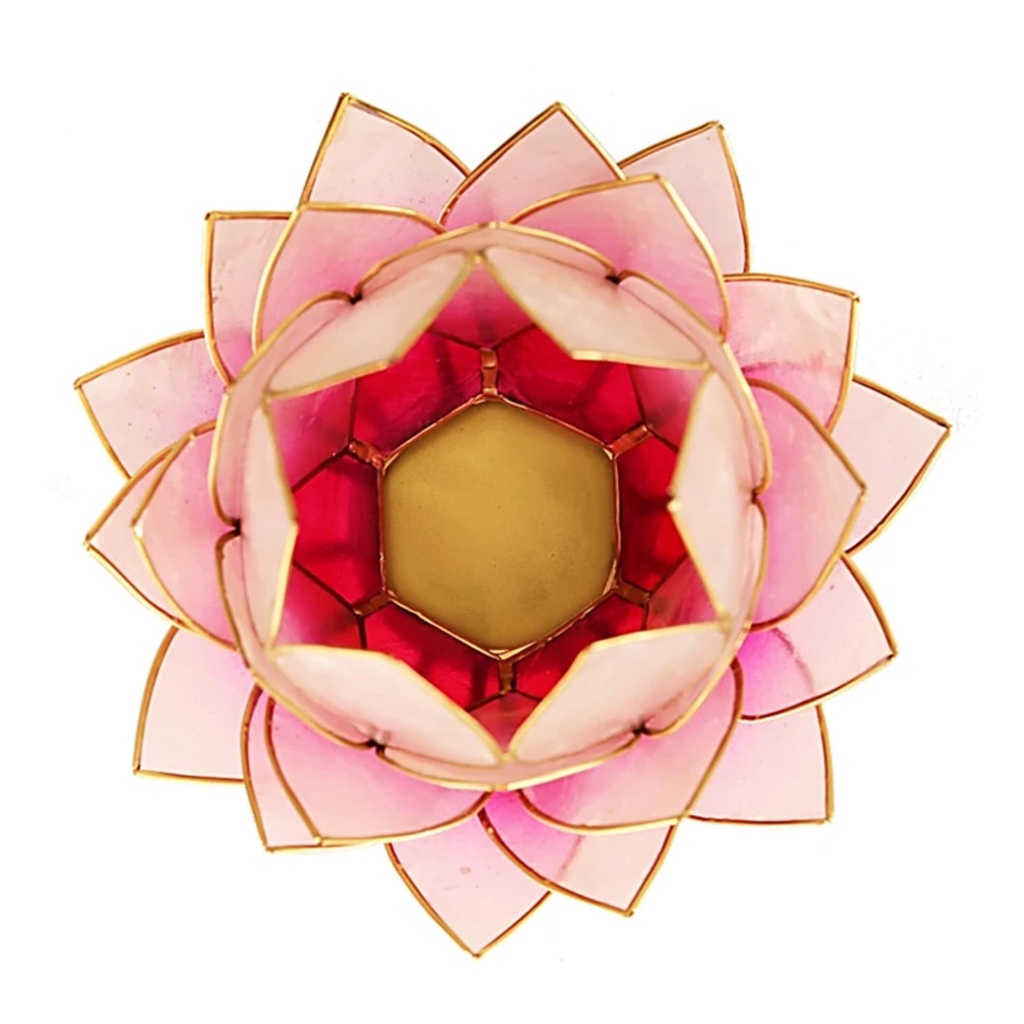 Eclairage d’ambiance Lotus rose bord or grand 0