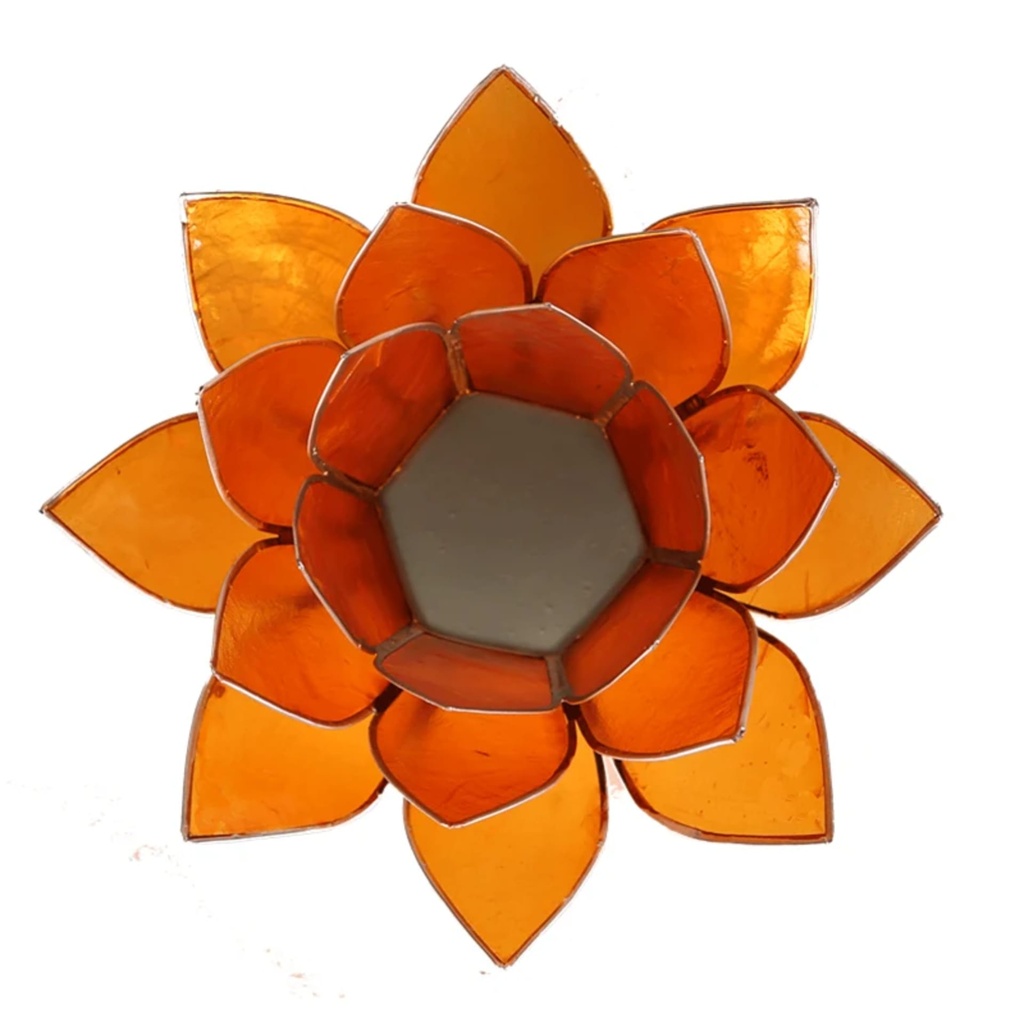 Eclairage  Lotus 2° Chakra orange/argent 1
