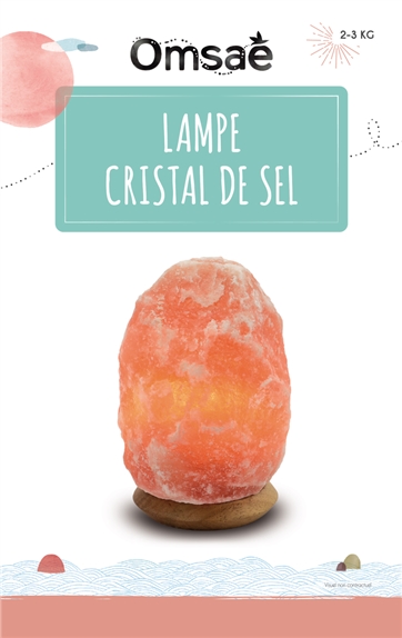 Lampe en Cristal de Sel - Pièce de 2 à 3 kg 2