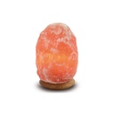Lampe en Cristal de Sel - Pièce de 2 à 3 kg 3