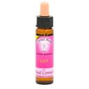 Karmic Flower Essences 10 flacons 0