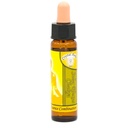 Essence des Chakra SET de 10 flacons 3